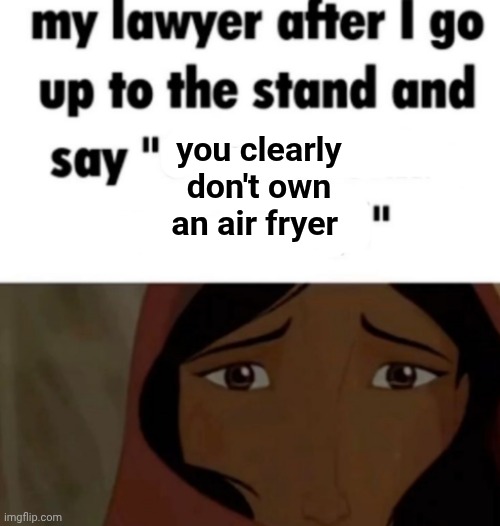 Air fryer | you clearly don't own an air fryer | image tagged in my lawyer after i go up to the stand and say x,air fryer | made w/ Imgflip meme maker