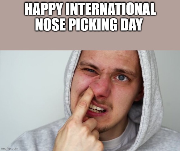 Happy International Nose Picking Day | happy international nose picking day | image tagged in nose,nose pick,picking nose,holiday,funny,memes | made w/ Imgflip meme maker