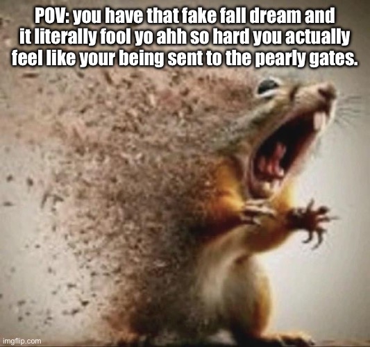 badass squirrel disintegrating | POV: you have that fake fall dream and it literally fool yo ahh so hard you actually feel like your being sent to the pearly gates. | image tagged in badass squirrel disintegrating,heaven,dream,funny,memes | made w/ Imgflip meme maker