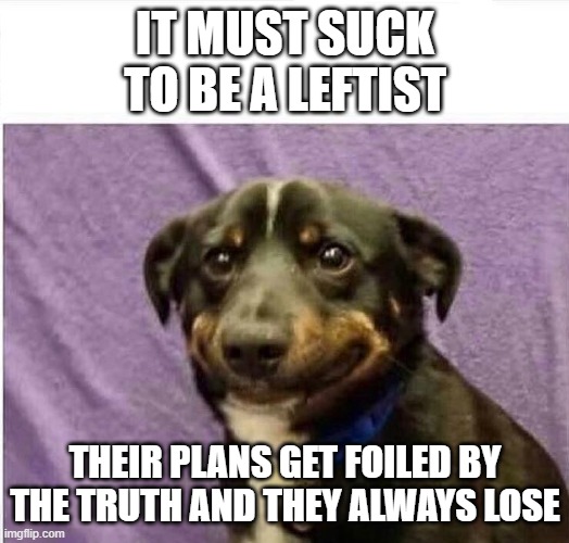 sad dog | it must suck to be a leftist their plans get foiled by the truth and they always lose | image tagged in sad dog | made w/ Imgflip meme maker