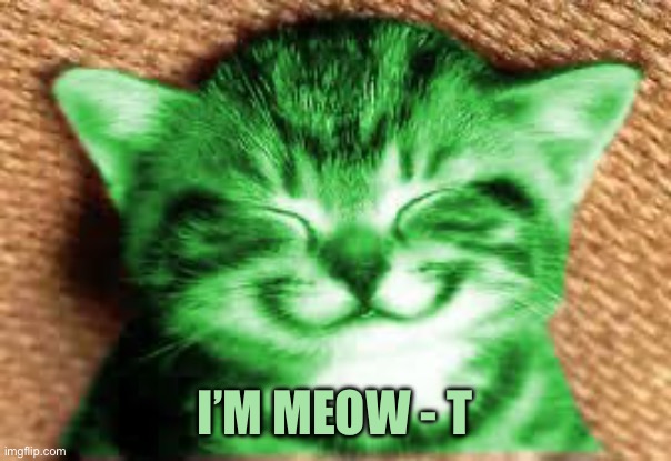happy RayCat | I’m meow - t | image tagged in happy raycat | made w/ Imgflip meme maker