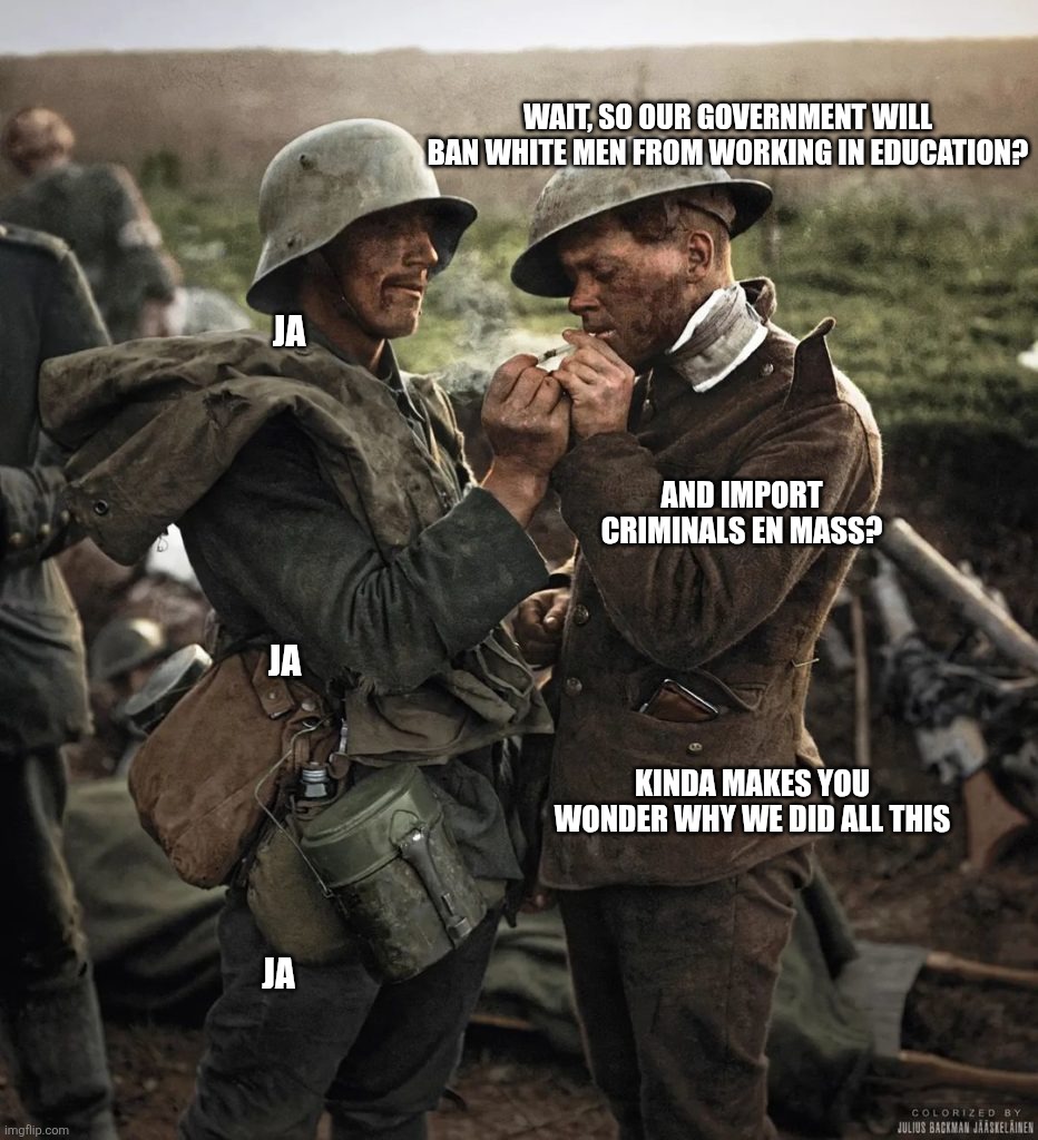 WW2 | Wait, so our government will ban white men from working in education? Ja; And import criminals en mass? Ja; Kinda makes you wonder why we did all this; Ja | image tagged in immigration,equality | made w/ Imgflip meme maker