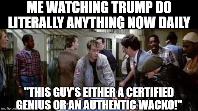 me watching trump do literally anything now daily; "This guy's either a certified genius or an authentic wacko!" | image tagged in remix | made w/ Imgflip meme maker