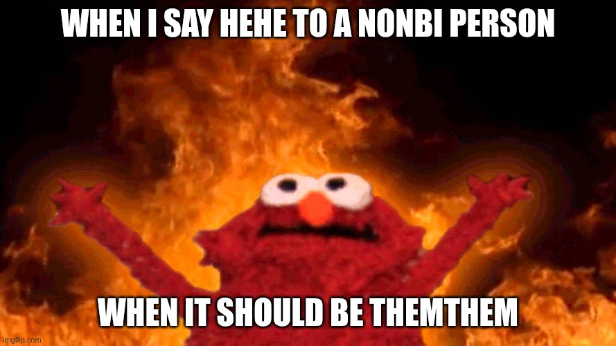 I'm genderfulid fun fact | when I say hehe to a nonbi person; when it should be themthem | image tagged in elmo fire,lgbtq,funny,pronouns | made w/ Imgflip meme maker