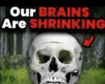 Brain shrinking Blank Meme Template