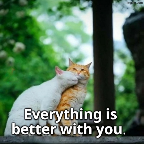 You Make it better | 𝐄𝐯𝐞𝐫𝐲𝐭𝐡𝐢𝐧𝐠 𝐢𝐬 𝐛𝐞𝐭𝐭𝐞𝐫 𝐰𝐢𝐭𝐡 𝐲𝐨𝐮. | image tagged in better,thankyou,you,i love you,cats,hugs | made w/ Imgflip meme maker