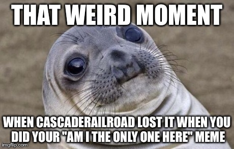 Awkward Moment Sealion Meme | THAT WEIRD MOMENT WHEN CASCADERAILROAD LOST IT WHEN YOU DID YOUR "AM I THE ONLY ONE HERE" MEME | image tagged in memes,awkward moment sealion | made w/ Imgflip meme maker