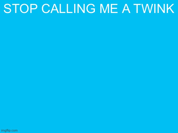 stop calling me a twink | made w/ Imgflip meme maker
