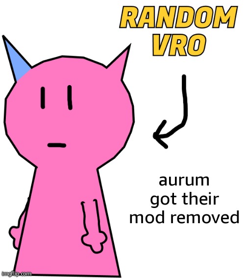 RANDOM VRO | aurum got their mod removed | image tagged in random vro | made w/ Imgflip meme maker