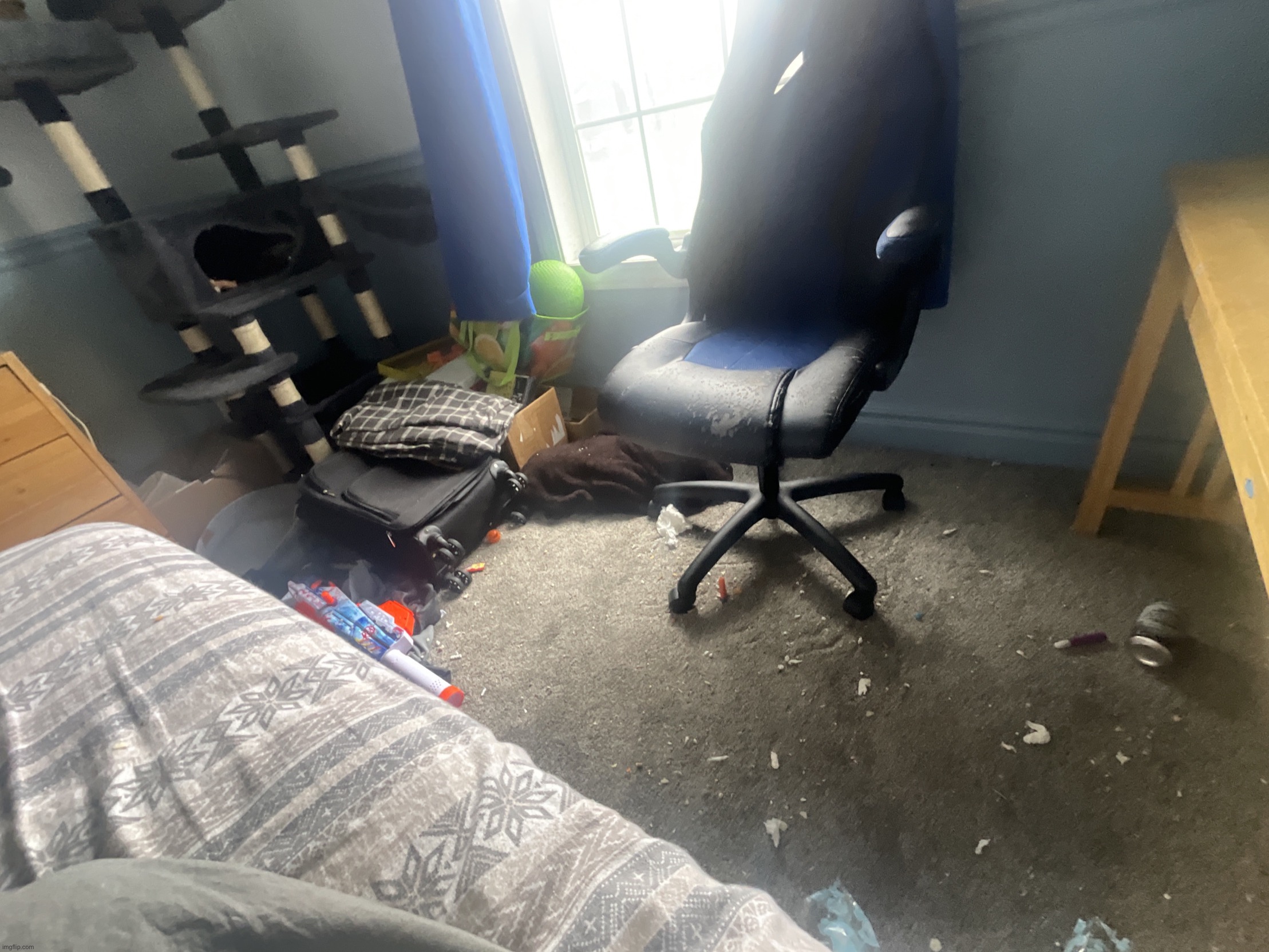 i should clean my floor | image tagged in image jpg | made w/ Imgflip meme maker