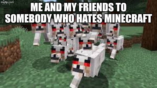 you better watch out | me and my friends to somebody who hates minecraft | image tagged in hostile wolves,minecraft | made w/ Imgflip meme maker