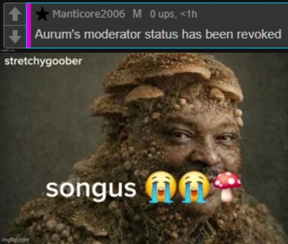 just for banning botslayer btw | image tagged in songus | made w/ Imgflip meme maker