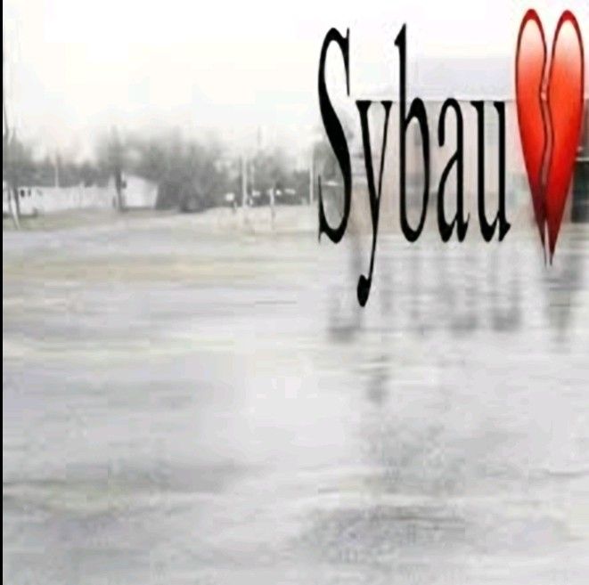 Sybau Blank Meme Template