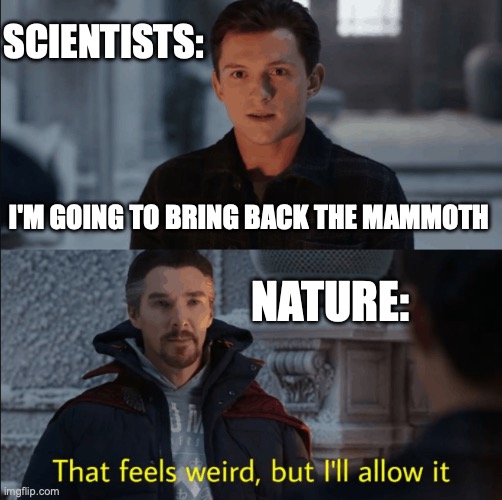That feels weird but I'll allow it | Scientists:; I'm going to bring back the mammoth; Nature: | image tagged in that feels weird but i'll allow it | made w/ Imgflip meme maker