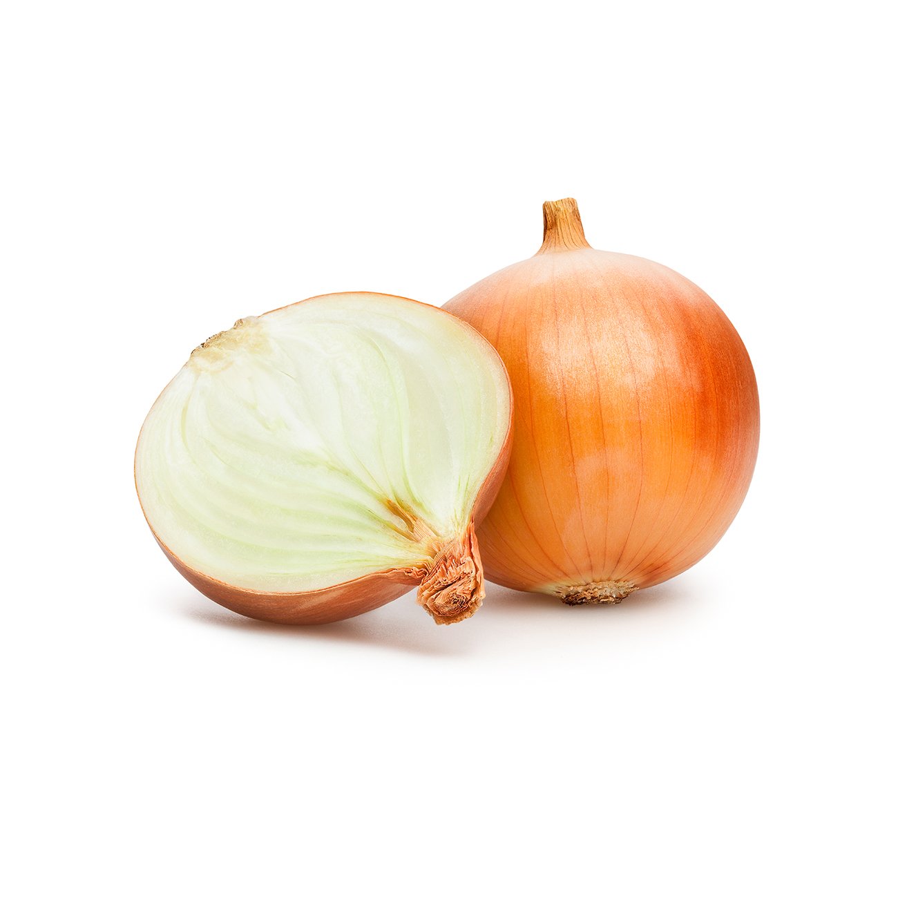 onion.jpg Blank Meme Template