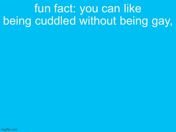 mfs on here don’t want you to know this fact | fun fact: you can like being cuddled without being gay, | made w/ Imgflip meme maker