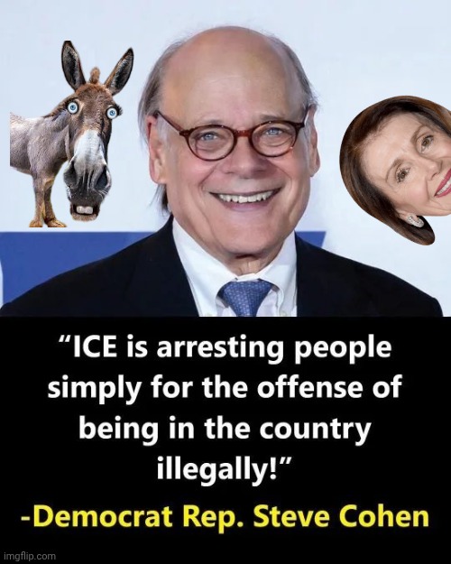 Nancy Pelosi 2.0 | image tagged in democrats democratting,same kool aid,drink drinking drunk,illegal immigrants,immigrants,what's the difference | made w/ Imgflip meme maker