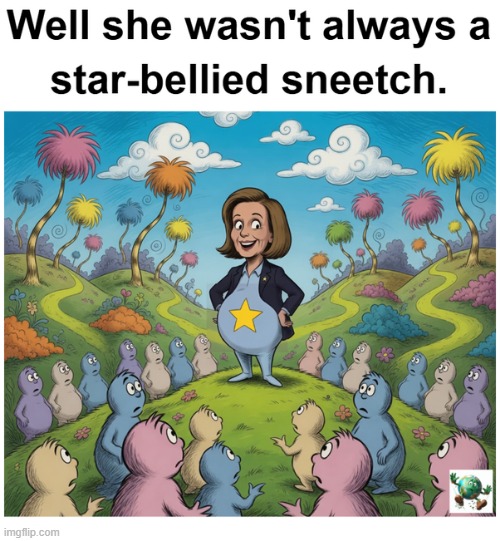 Did Nancy Pelosi get cosmetic surgery? | image tagged in maga,conservative,nancy pelosi | made w/ Imgflip meme maker