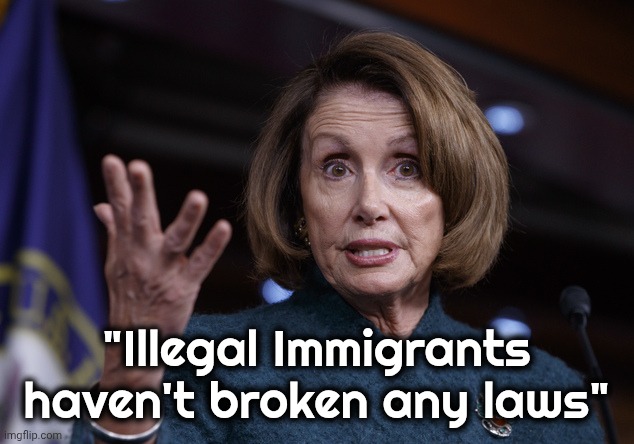 Good old Nancy Pelosi | "Illegal Immigrants haven't broken any laws" | image tagged in good old nancy pelosi | made w/ Imgflip meme maker