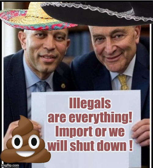 Cuck Scummer * Guacheem Jeffries sign | Illegals are everything! Import or we will shut down ! | image tagged in cuck scummer guacheem jeffries sign | made w/ Imgflip meme maker