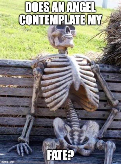 Waiting Skeleton | does an angel contemplate my; fate? | image tagged in memes,waiting skeleton | made w/ Imgflip meme maker