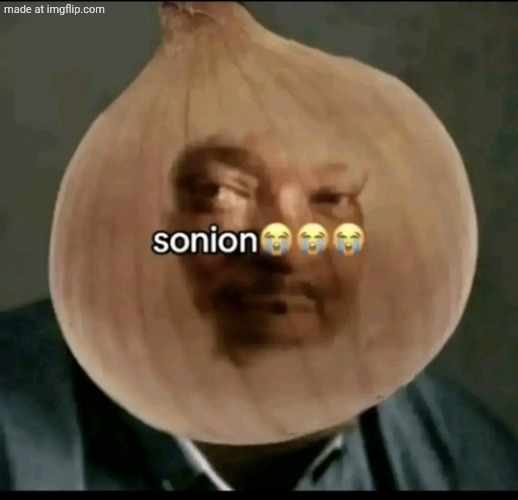 sonion | image tagged in sonion | made w/ Imgflip meme maker