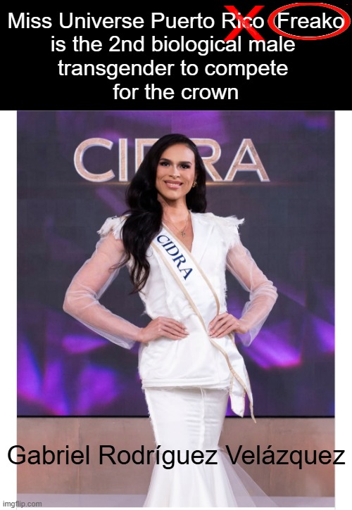 Sometimes I Feel My Nuts & Sometimes I Don't | Miss Universe Puerto Rico  Freako

is the 2nd biological male 

transgender to compete 

for the crown; Gabriel Rodríguez Velázquez | image tagged in miss universe,puerto rico,male,transgender,liberal logic,identity crisis | made w/ Imgflip meme maker