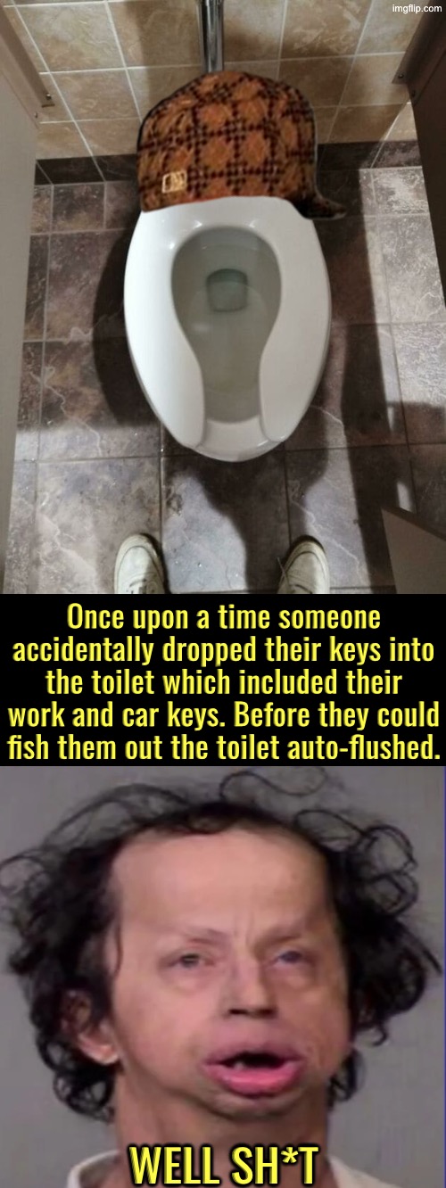 Once Upon A Time | Once upon a time someone accidentally dropped their keys into the toilet which included their work and car keys. Before they could fish them out the toilet auto-flushed. Well sh*t | image tagged in toilets,well shit,bad day,scumbag,dammit,are you kidding me | made w/ Imgflip meme maker