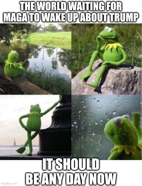 blank kermit waiting | the world waiting for maga to wake up about trump it should be any day now | image tagged in blank kermit waiting | made w/ Imgflip meme maker