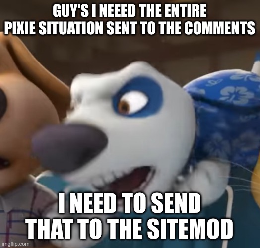 Hank Angry | Guy's i neeed the entire pixie situation sent to the comments; I need to send that to the sitemod | image tagged in hank angry | made w/ Imgflip meme maker