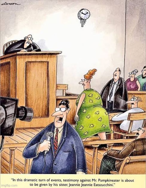 Uh oh! Things just got serious up in here! | image tagged in the far side,comics,courtroom,peter pumpkineater,testimony,sister | made w/ Imgflip meme maker