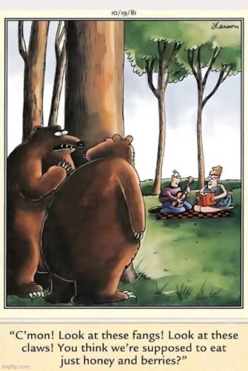 When bears realize their full potential… | image tagged in the far side,comics,bears,picnic,realization,carnivores | made w/ Imgflip meme maker