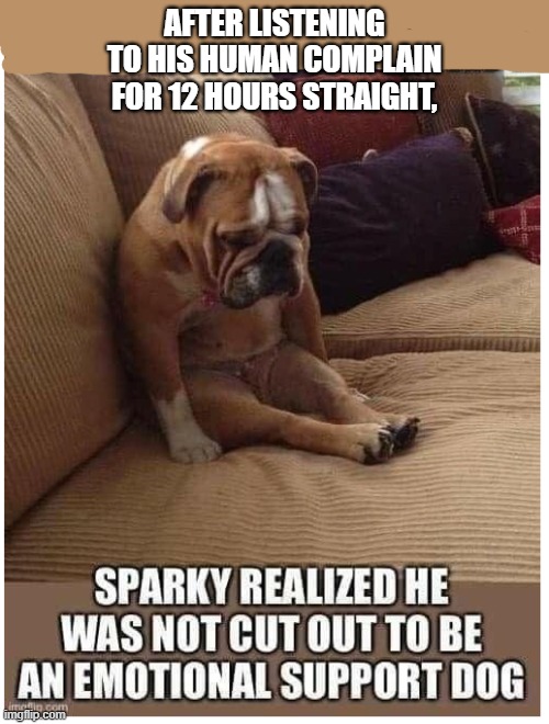 tired dog | after listening to his human complain for 12 hours straight, | image tagged in emotional support dog png | made w/ Imgflip meme maker
