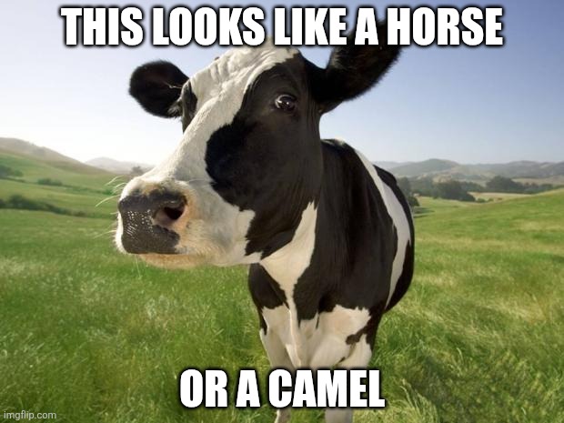 Joke | This looks like a horse; Or a camel | image tagged in cow | made w/ Imgflip meme maker
