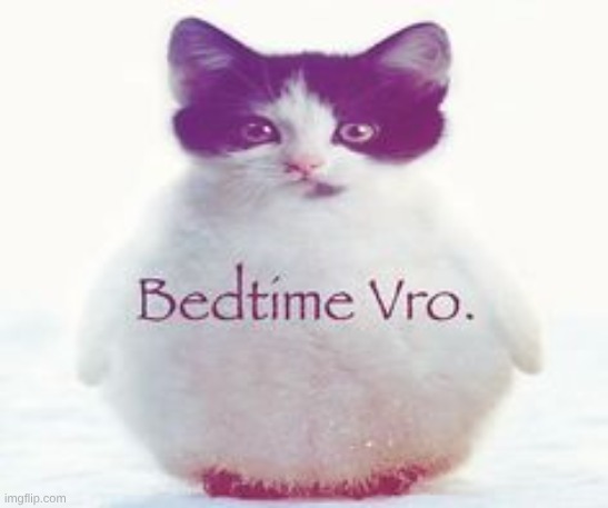 okay I'm actually going now totally | image tagged in bedtime vro | made w/ Imgflip meme maker