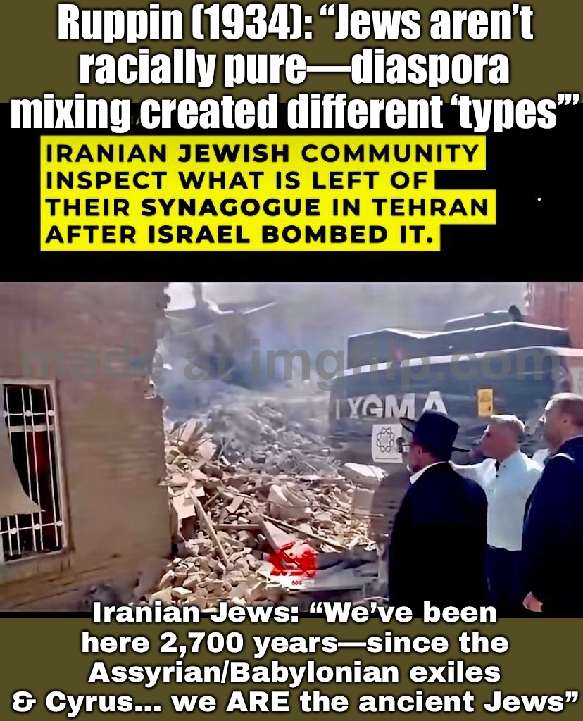 Iranian Jews: “2,700 years in Persia since the biblical exiles… we’re basically the original DLC” | Ruppin (1934): “Jews aren’t racially pure—diaspora mixing created different ‘types’”; Iranian Jews: “We’ve been here 2,700 years—since the Assyrian/Babylonian exiles & Cyrus… we ARE the ancient Jews” | image tagged in iran war crisis,jews,persia,empire,history memes,genetics | made w/ Imgflip meme maker