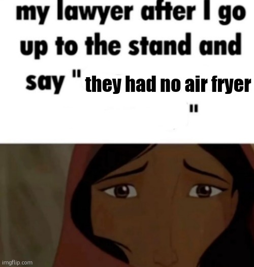 my lawyer after i go up to the stand and say x | they had no air fryer | image tagged in my lawyer after i go up to the stand and say x | made w/ Imgflip meme maker