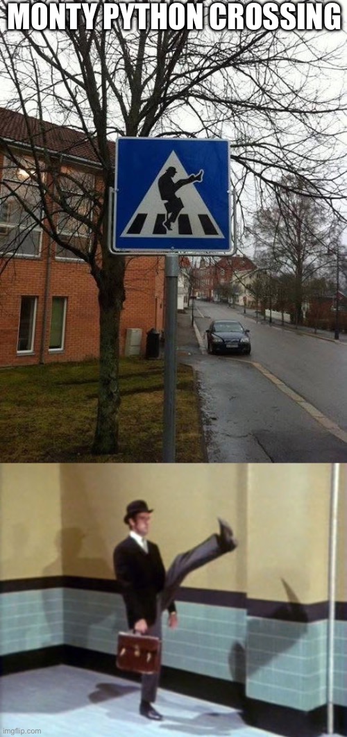 Monty Python | Monty Python Crossing | image tagged in ministry of silly walks,crossing,walking,road,pedestrian | made w/ Imgflip meme maker
