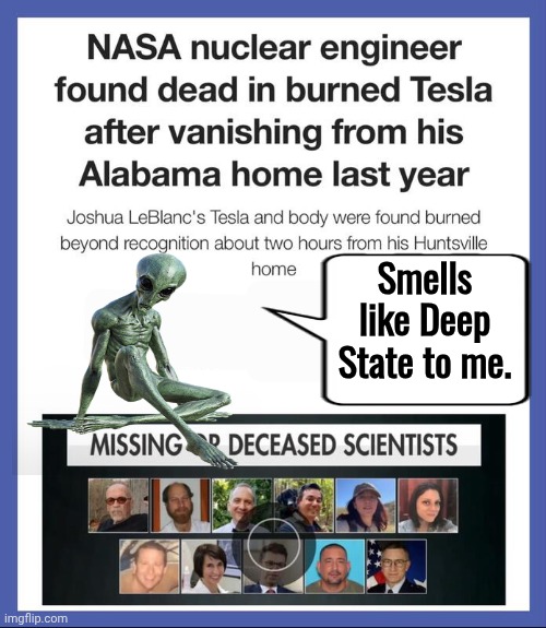 Smells like a government job to me | Smells like Deep State to me. | image tagged in aliens,conspiracy,men in black | made w/ Imgflip meme maker