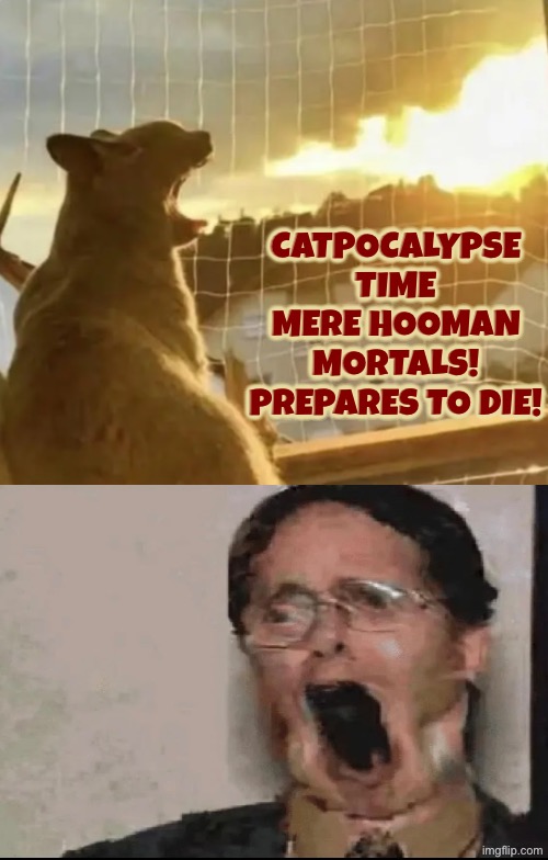Catpocalypse | Catpocalypse time mere hooman mortals! Prepares to die! | image tagged in cats,funny cats,apocalypse,time to die,fire,so you have chosen death | made w/ Imgflip meme maker