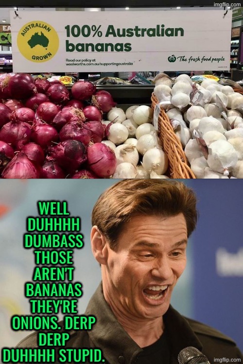Well Duhhhh! | image tagged in duhhh dumbass,do you are have stupid,human stupidity,you had one job,bananas,onions | made w/ Imgflip meme maker