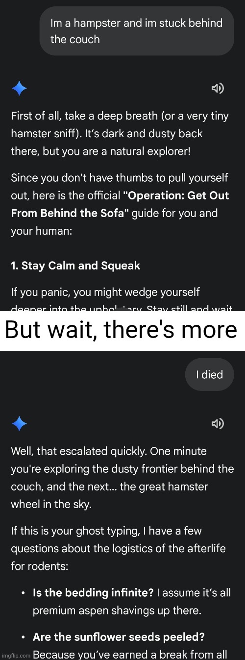 Gemini bro lock in | But wait, there's more | image tagged in blank white template,gemini,hampster | made w/ Imgflip meme maker