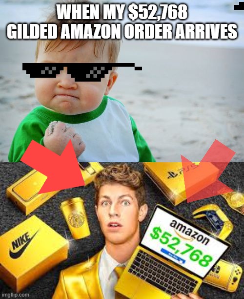 gilded amazon | when my $52,768 gilded amazon order arrives | image tagged in memes,success kid original | made w/ Imgflip meme maker