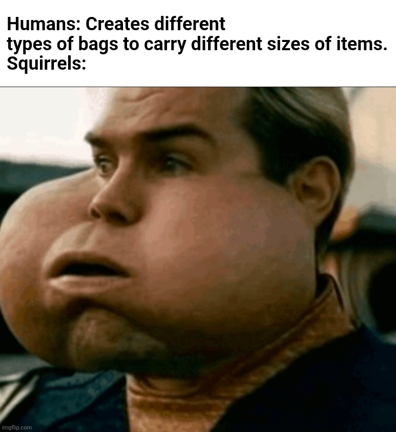 I came up with this at 2 am | Humans: Creates different types of bags to carry different sizes of items.
Squirrels: | image tagged in homelander,the boys,funny meme,animals,humans,memes | made w/ Imgflip meme maker