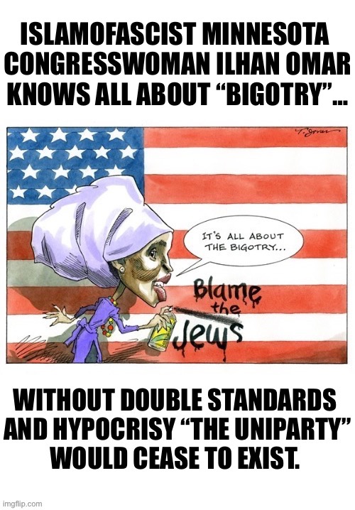 If this country is so bad she should go back to the Islamic “paradise” that she originally came from | Islamofascist Minnesota 
Congresswoman ilhan omar
Knows all about “bigotry”… | image tagged in political meme,ilhan omar,bigotry,antisemitism,uniparty,double standards and hypocrisy | made w/ Imgflip meme maker