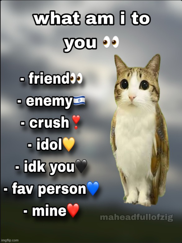 what am i to you | image tagged in what am i to you | made w/ Imgflip meme maker
