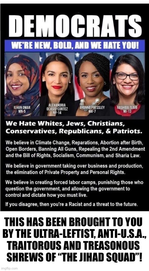 Their viewpoints now reflect the viewpoints of the majority of democrats in the DNC | image tagged in political meme,the jihad squad,traitors,democrats,they hate us,anti usa | made w/ Imgflip meme maker