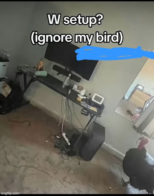 image tagged in bird | made w/ Imgflip meme maker