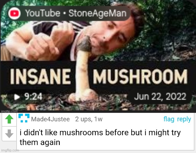 Hmmm... I wonder why | image tagged in mushrooms,comments,cursed | made w/ Imgflip meme maker