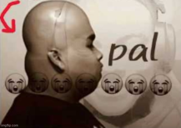 pal | image tagged in pal | made w/ Imgflip meme maker